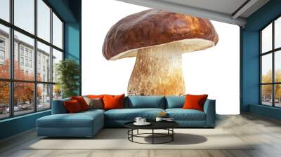 Big Boletus Edulis Mushroom isolated on white background close up , ai Wall mural