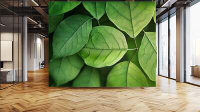 Macro leaves background , ai Wall mural