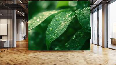 Nature Close Up Shot background , ai Wall mural