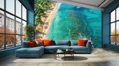 Aerial View of Tropical Beach Wall mural