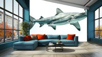 Hammerhead Shark Underwater Wall mural