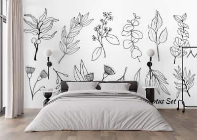 Large set of eucalyptus leaves and branches. Collection of eucalyptus branches. Vector illustration of greenery. Eucalyptus with seeds. Wall mural