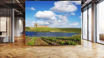  vineyard and Valongo castle, alentejo region, Portugal Wall mural