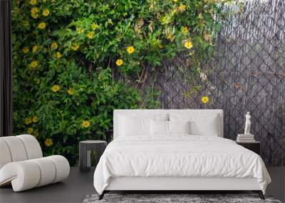 flowers on fence Wall mural