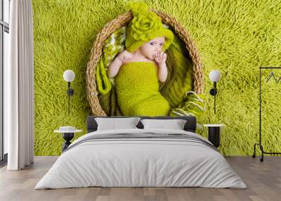 Newborn baby in woolen hat inside basket over green background Wall mural