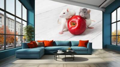 white rats with red apple Wall mural