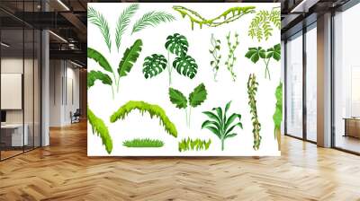 Set of jungle plants. Wall mural