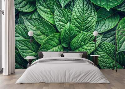 Close-up macro shot of green, organic leaves creating a textured background in a toned layout Wall mural