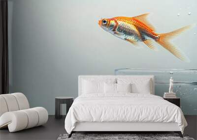 A small goldfish jumps upward out of a glass aquarium. Creative concept of overcoming, leadership and growth, success and career development. Getting out of the comfort zone. Wall mural