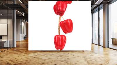 Bunch Of Decorative Peppers. Wall mural