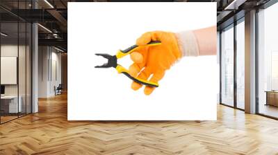 Hand in gloves holding pliers. Wall mural