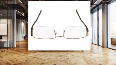 New fashionable glasses. Wall mural