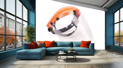 Plastic protective face shield. Wall mural