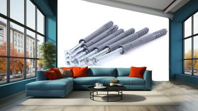 Screws and dowels isolated on white background Wall mural