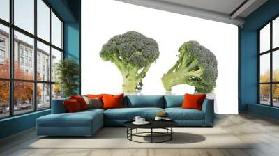 Two fresh broccoli. Wall mural