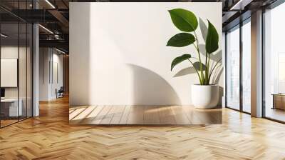 Empty room with texture, soft beautiful dappled sunlight, wooden floor, leaf shadow on white wall for luxury organic cosmetic, skincare, beauty treatment Wall mural