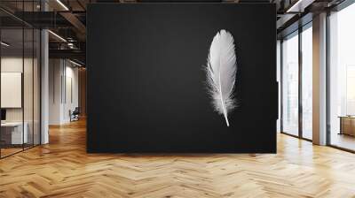 Black and white photo of a single feather floating on a solid black background minimalist design Wall mural