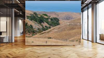 Channel Islands National Park, Santa Cruz Island off the coast of California, USA Wall mural