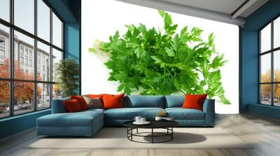 fresh parsley Wall mural