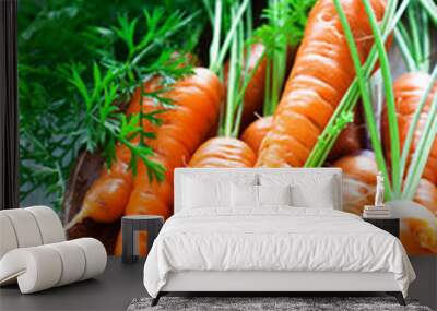 organic carrot Wall mural