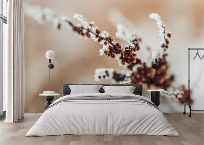 Trockenblume vereist im Winter  Wall mural