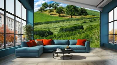 Hessian landscape. Green fields and apple trees in summer Wall mural