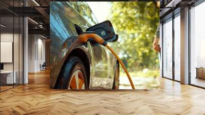 Close-up of a person charging an electric vehicle on a sunny summer day outdoors with clear skies and greenery in the background Wall mural