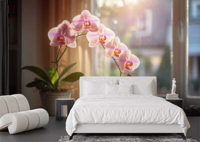 flower and leaves of the phalaenopsis orchid in a flower pot on the windowsill in the house. Care of a houseplant. Home garden. Room interior decoration Wall mural