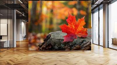 Red maple leaf on a stump Wall mural