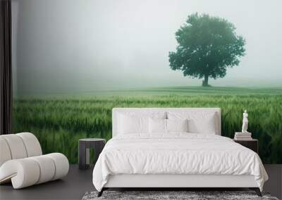 A single tree stands tall in a field of green grass, shrouded by fog. Wall mural