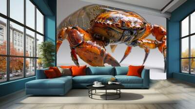 Close-up of a Realistic 3D Rendered Crab Wall mural