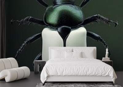 Green and White Beetle Macro Photography Wall mural