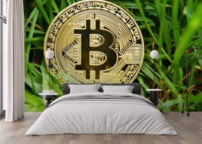 Golden coin with bitcoin symbol close up on green grass background outdoors. Electronic crypto currency and business concept. Wall mural