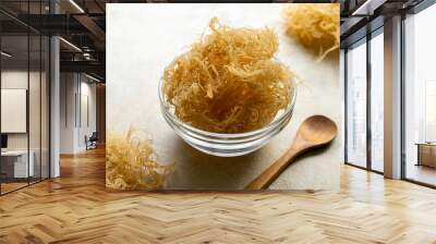 Golden dried Sea Moss, healthy food supplement rich in minerals and vitamins used for nutrition and health Wall mural