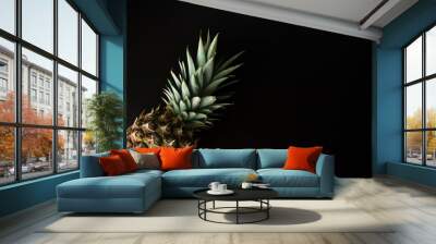 Pineapple isolated on black. Fresh exotic, tropical fruit with copy space. Dark photo. Summer fruit. Wall mural