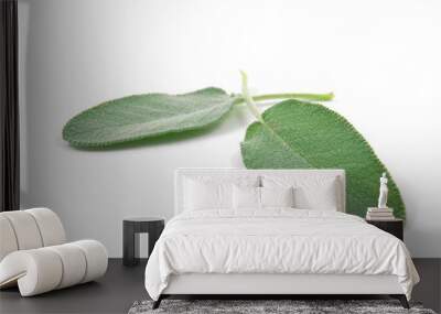 Due foglie di salvia Wall mural