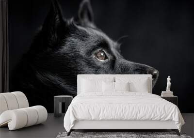 black dog in profile against black background Wall mural