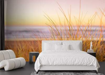 Shallow depth of field grass landscape with view of beach coastline at sunset with yellow light at Hellestø beach outside Stavanger, Norway Wall mural