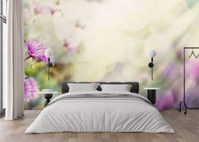 Aster in Autumn Wall mural