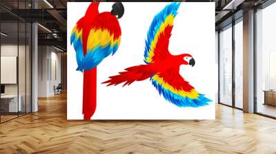 Two macaws vectors. One sitting and one flying Wall mural