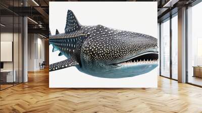 A whale shark isolated against a white background. Generative ai Wall mural