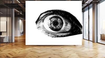 Abstract halftone eye collage element. Trendy grunge design element Wall mural