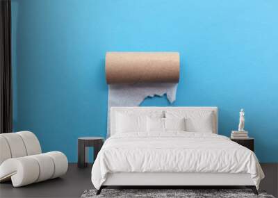 Empty toilet paper roll on a blue background Wall mural