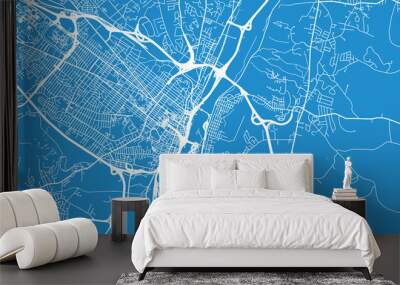 Urban vector city map of Albany, USA. New York state capital Wall mural