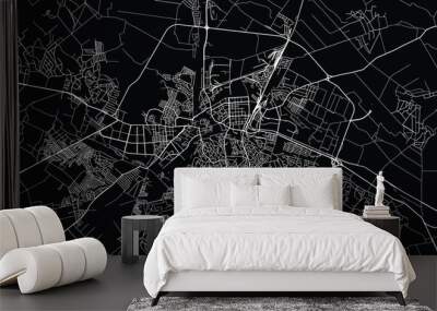 Urban vector city map of Vinnytsia, Ukraine, Europe Wall mural