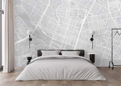 Vector city map of Austin, Texas.  Wall mural