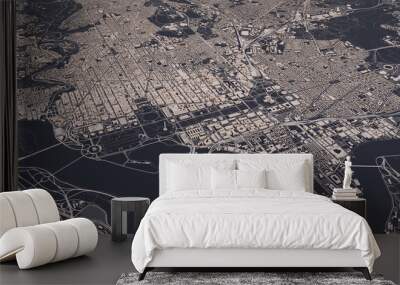 Washington DC city map 3D Rendering. Aerial satellite view. Wall mural