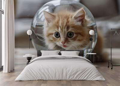 A kitten stuck inside a too-small fishbowl with a surprised expression Wall mural