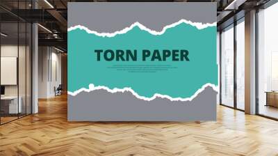 Torn paper grey and white color ripped paper background post, banner, design Wall mural