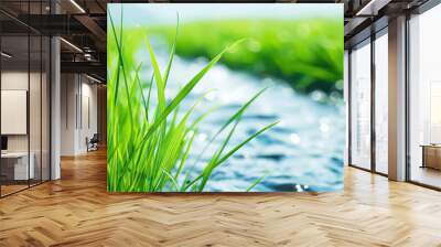 Close-up of vibrant green grass with a flowing stream in the bac Wall mural